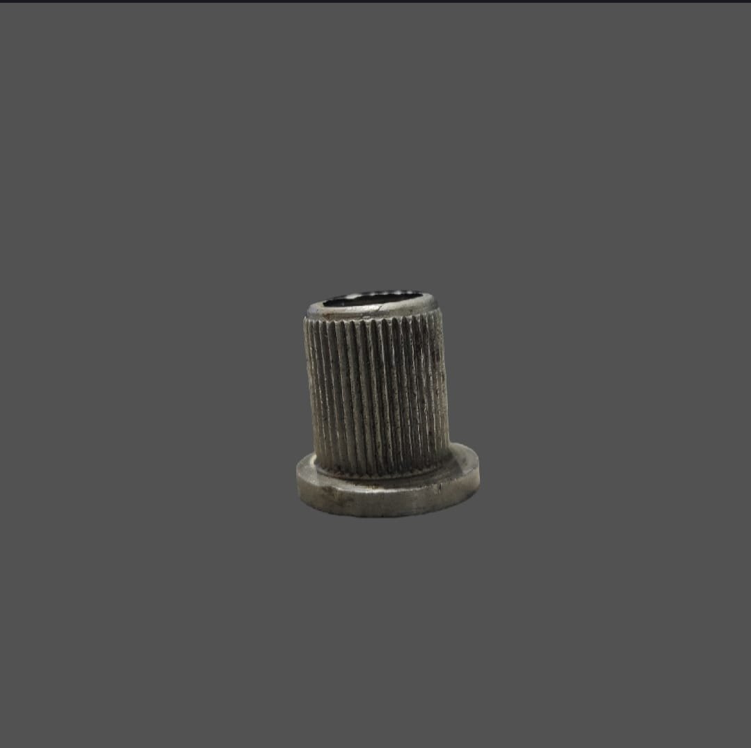 PLUG BUSH